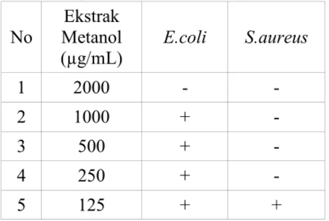 Tabel 3.  Hasil Penentuan Konsentrasi Hambat  Minimum Ekstrak Metanol Biji Mangga Arum Manis 