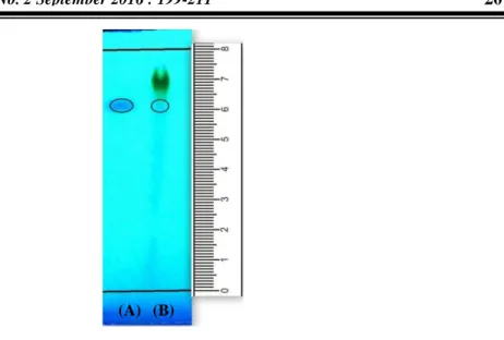 Gambar 2.  Kromatogram  standar  melatonin  (A)  dan  ekstrak  ganggang  hijau  (B)  pada  fase  diam  silika  gel  F 254   dan  fase  gerak  n-butanol-asam  asetat-air  (12:3:5)