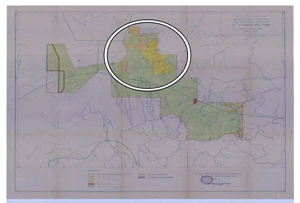 Gambar Peta Survey Mikro Departemen Kehutanan Tahun 1987 yang menunjukkan wilayah perladangan dan belukar di Dusun Lamo Pinang Tinggi, Tanah Menang dan Padang Salak 