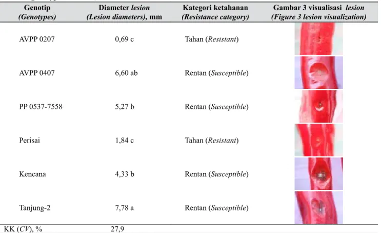 Tabel 1.   Diameter lesion hasil inokulasi pada beberapa genotip buah cabai (Lesion diameter from pepper  genotype isolation) Genotip  (Genotypes) Diameter lesion   (Lesion diameters), mm Kategori ketahanan (Resistance category)