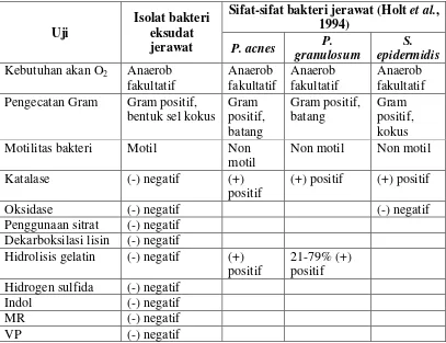 Tabel III. Perbandingan Hasil Identifikasi Isolat Bakteri Eksudat Jerawat