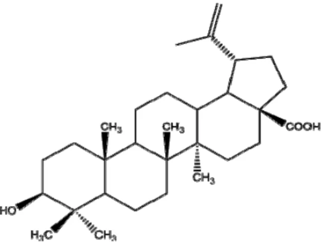 Gambar 3. Struktur senyawa 2 (asam betulinat)  diduga disebabkan oleh peran asam betulinat yang terkandung dalam tumbuhan ini