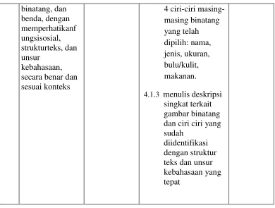 gambar binatang 