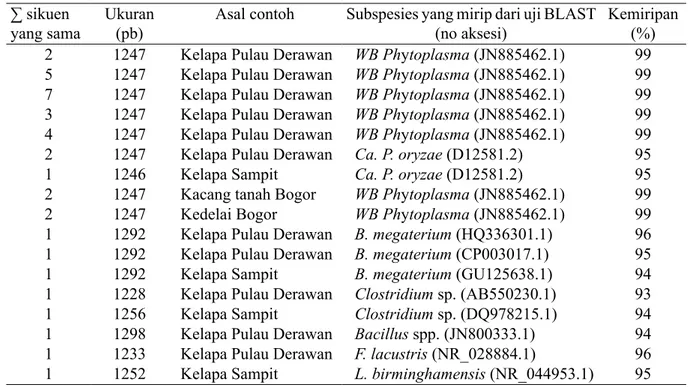 Tabel 2  Hasil analisis BLAST 16S RNA fitoplasma dari Pulau Derawan terhadap DNA fitoplasma pada  GenBank asal tanaman kelapa, kacang tanah, dan kedelai