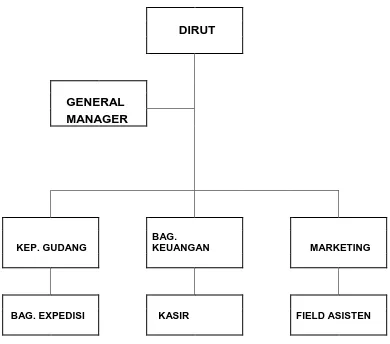 Gambar 2.1 Struktur Organisasi PT. Bina Agro Perdana 