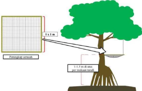 Gambar 2. Ilustrasi pemasangan jaring perangkap serasah (litter trap) (Farhaby &amp; Utama, 2019)  Pengukuran Dekomposisi Serasah 