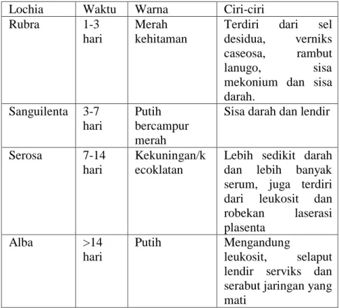 Table 8. Perbedaan Masing-masing Lochea  Lochia   Waktu   Warna   Ciri-ciri  Rubra   1-3 
