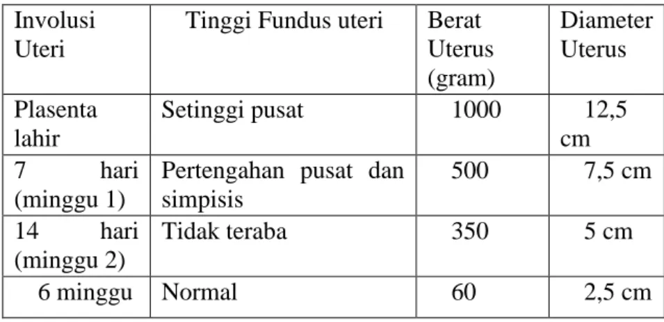 Tabel 2.9 Perubahan-Perubahan Normal Pada Uterus Selama Postpartum  Involusi 