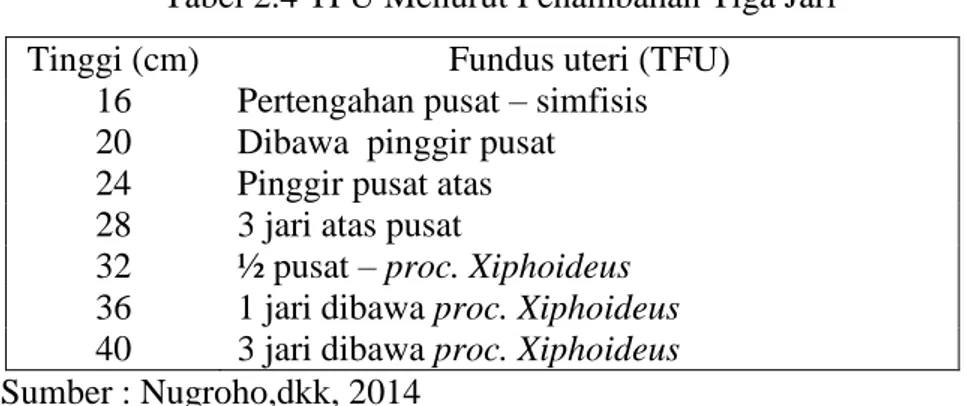 Tabel 2.4 TFU Menurut Penambahan Tiga Jari  Tinggi (cm)  Fundus uteri (TFU) 