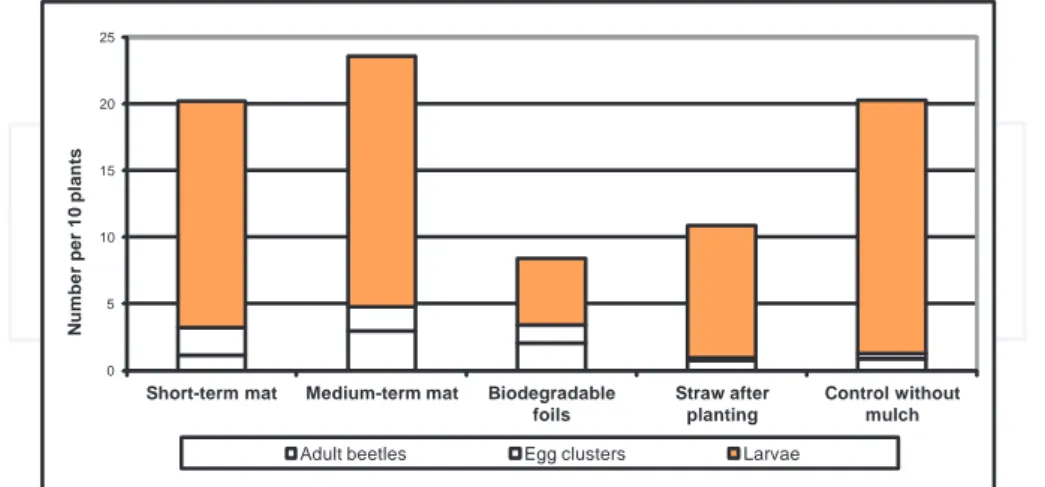 Figure 10. Dependence of occurrence of beetles, nests with eggs and larvae of CPB on used mulching materials (Uhřín‐