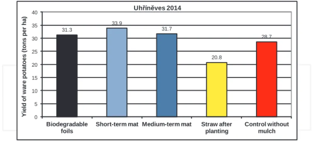 Figure 13. Yield of ware potatoes depending on the selected mulching material.