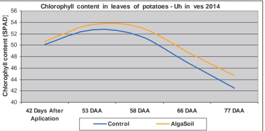Figure 3. Course content of chlorophyll in the leaves after application of the fertilizer AlgaSoil.