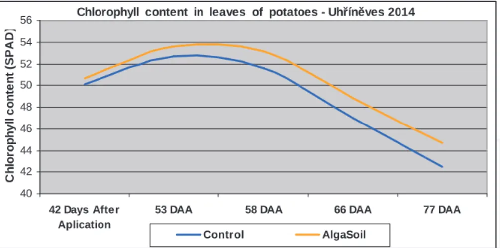 Figure 3. Course content of chlorophyll in the leaves after application of the fertilizer AlgaSoil.