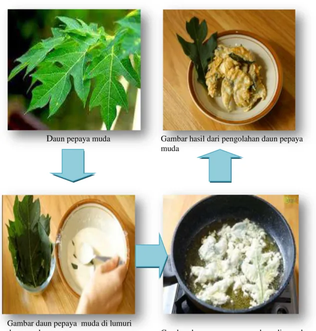Gambar 1.  Pembuatan keripik krispi daun pepaya muda 