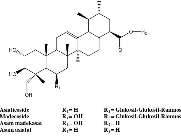 Gambar 1. Struktur senyawa triterpenoid yang terkandung pada herba pegagan (Rafamantanana et al., 2009) 
