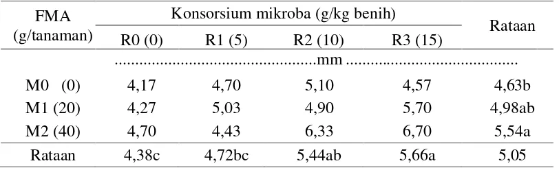 Tabel 2. Rataan diameter batang pada pemberian FMA dan konsorsium mikroba 