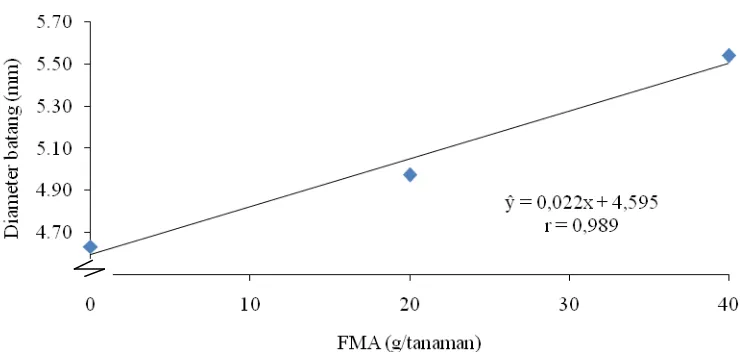 Gambar 4. Hubungan diameter batang 6 MST dengan pemberian FMA 