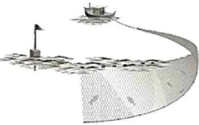 Gambar 3. Jaring insang lingkar (encircling gillnets)