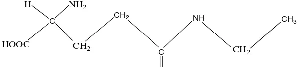 Gambar 4. Struktur kimia L-theaninO