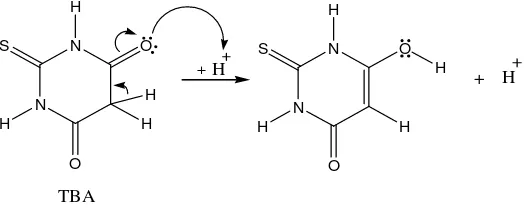 Gambar 8 . Reaksi pembentukan enol pada TBA