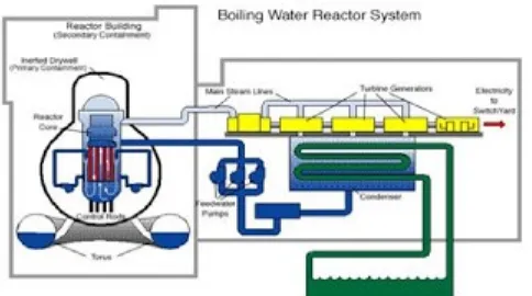Gambar 4 Skema Reaktor Boiling Water Reactor (BWR)