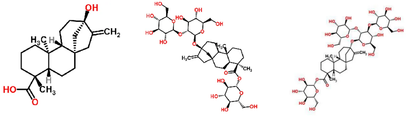 Gambar  1. Struktur Mole kul dari Steviol, Stevioside, dan Rebaudioside (Kanan Ke  Kiri)