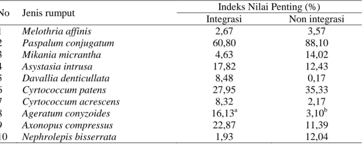 Tabel  4.  Rata-rata  indeks  nilai  penting  vegetasi  hijauan  di  area  non  integrasi  dan  terintegrasi  sapi  sawit 