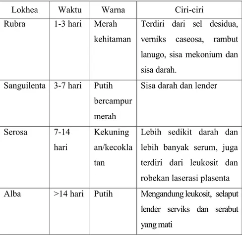 Tabel 2.6. Perbedaan Masing-masing Lochea