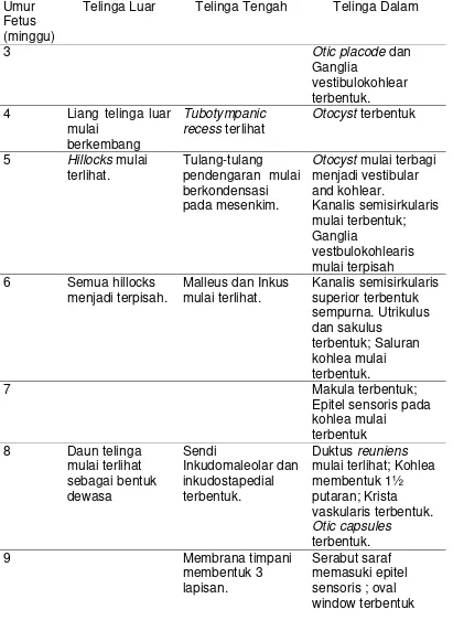 Tabel 2.3. Perkembangan Embriologi Telinga     2006) (Wareing, Lalwani & Jackler      