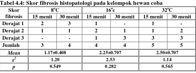 Gambar 4.2: Skor fibrosis secara histopatologi (x100) dengan pewarnaan HE. . A. Fibrosis ringan (derajat 1)