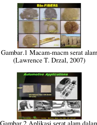 Gambar 1) selain dapat berfungsi sebagai Penggunaan serat alam (serat alam penguat dan meningkatkan sifat mekanik polimer juga dapat mengurangi biaya produksi (Neng Sri Suharty, 2007)