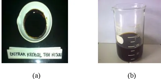 Gambar 3. Ekstrak kental (a) dan ekstrak cair (b) daun teh hijau 
