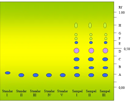 Gambar 4. Kromatogram standar EGCG dan sampel ekstrak etanolik daun teh hijau  dengan deteksi di bawah lampu UV 254 nm 
