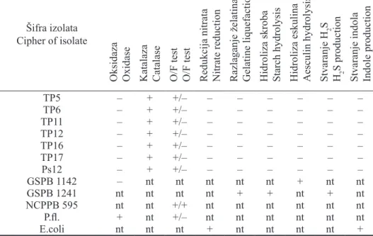 Tabela 4. - Pseudomonas savastanoi pv. phaseolicola.  