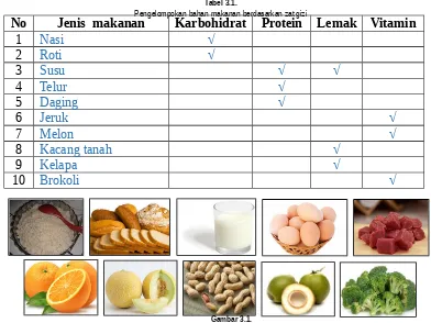 Tabel 3.1.Jenis  makananPengelompokan bahan makanan berdasarkan zat giziKarbohidratProtein