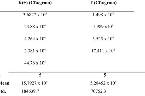Tabel   1.   Jumlah   kuman  Salmonella   typhimurium  per   gram   jaringan   dari  kultur hepar K(+) (Cfu/gram) T (Cfu/gram) 3.6827 x 10 4 1.498 x 10 4 23.88 x 10 4 1.989 x10 4 4.264 x 10 4 5.525 x 10 4 2.381 x 10 4 17.411 x 10 4 44.76 x 10 4 n          