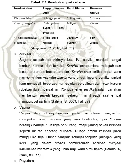 Tabel. 2.1 Perubahan pada uterus 