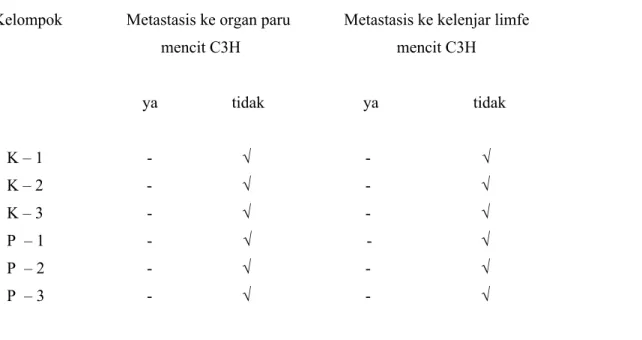 Tabel 2. Adanya metastasis ke paru dan kelenjar limfe aksilla mencit C3H     