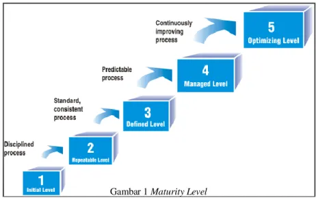 Gambar 1 Maturity Level