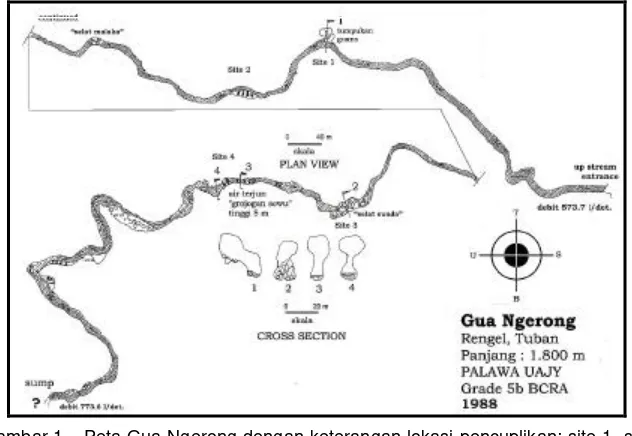 Gambar 1.Peta Gua Ngerong dengan keterangan lokasi pencuplikan: site 1, site2, site 3 dan site 4 (Digambar ulang dari Palawa 1988).