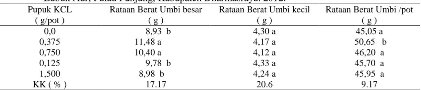 Tabel  2.  Pengaruh  pemberian  pupuk  KCl  terhadap  berat  umbi  pada  tanaman  bawang  merah,  Jorong  Lubuk Aur, Pulau Punjung, Kabupaten Dharmasraya