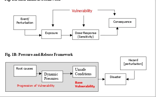 Fig. 1A: Risk-Hazards Framework  