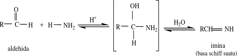 Gambar 2.3. Reaksi Aldehida dengan Beberapa Senyawa: air, alkohol, hidrogen     sianida, dan amonia (Fessenden dan Fessenden, 1999) 