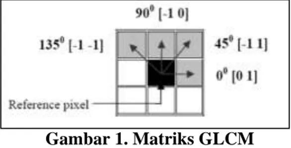 Gambar 1. Matriks GLCM 