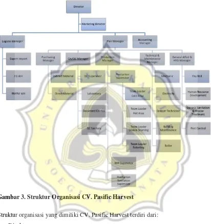 Gambar 3. Struktur Organisasi CV. Pasific Harvest 