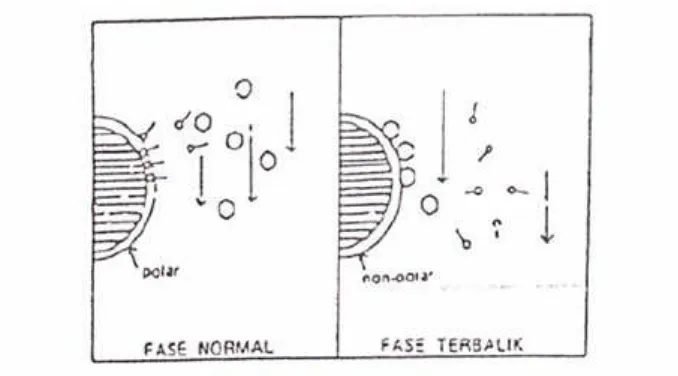 Gambar 4. Mekanisme pemisahan kromatografi partisi (Munson, 1984)
