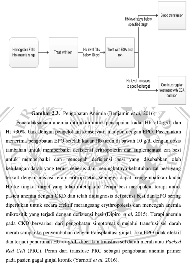 Gambar 2.3.  Pengobatan Anemia (Benjamin et al, 2016) 