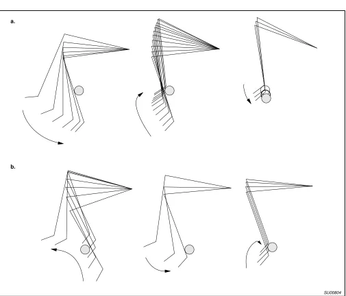 Figure 2.  Digitized robot leg movement trajectories from the “substrate-finding’’ behavior.