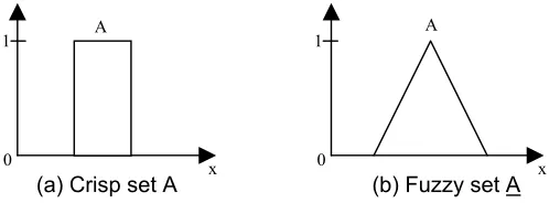 Figure 1. Membership function for crisp and fuzzy set 