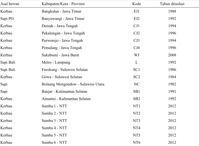 Tabel 1.  Deskripsi  Trypanosoma  evansi  yang  diisolasi  dari  beberapa  daerah  di  Indonesia  untuk  diketahui  virulensinya  pada  mencit DDY 